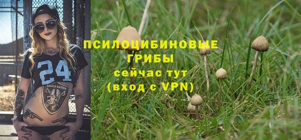 2c-b Слюдянка